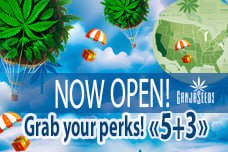 GanjaSeeds online store is now open in the USA!