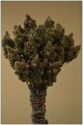 Flowery Flavor Flowery Flavor